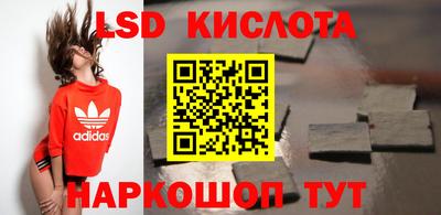 прущие грибы Будённовск