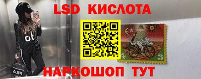 прущие грибы Бузулук