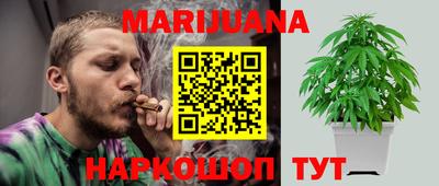 прущие грибы Будённовск