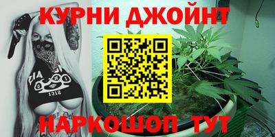 прущие грибы Будённовск