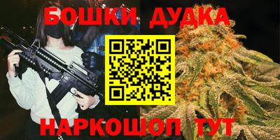 прущие грибы Будённовск
