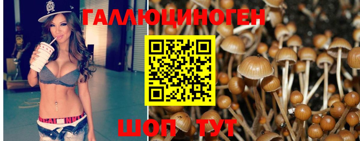 Галлюциногенные грибы Magic Shrooms Тында